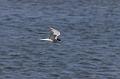 19_DJ-2011-019 Bild0492c